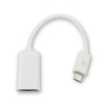 adapter-microusb-otg-raspberry-pi-zero-zero-w-1.jpg